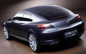 Opel Insignia car on the road 