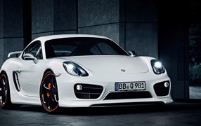 Текарт Porsche Cayman 2014 год