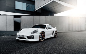 Techart Porsche Cayman 2014 год