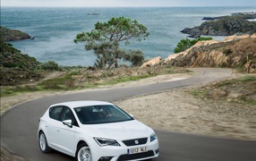  Надежный автомобиль Seat leon