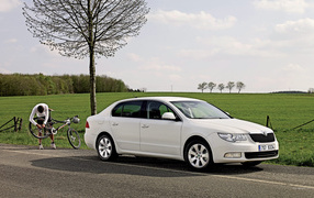 Надежная машина Skoda SuperB