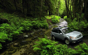 Надежный автомобиль Subaru Outback
