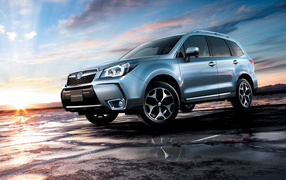 Test drive the car Subaru Forester 2013 