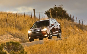Новая машина Subaru Forester 2013