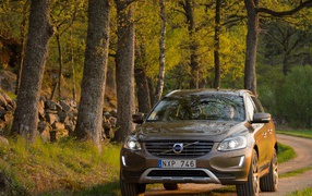 Красивый автомобиль Volvo xc60 в Москве