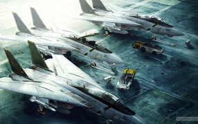 Грумман F14 Tomcat