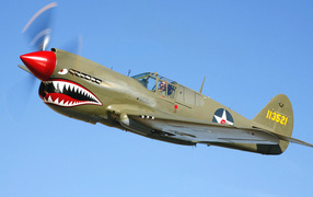 Самолет акула