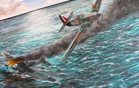 Француз выиграл бой