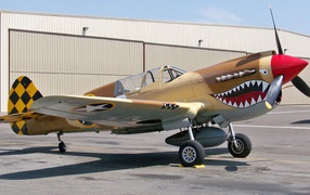 Учебный самолет