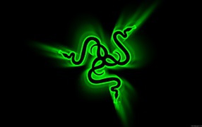 Black wallpaper with green snakes