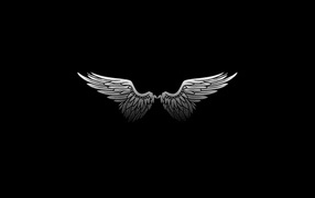 Черные обои с крыльями