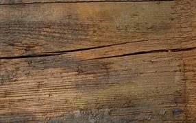 Растрескавшееся дерево