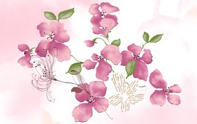 Розовые цветы на белом фоне