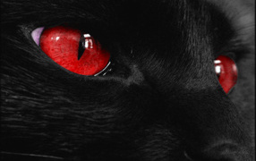 Красные глаза на черных обоях