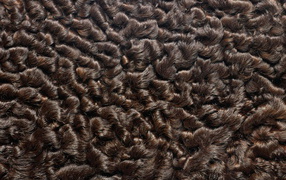 Мех каракуль