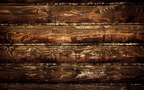 Pисунки дерева