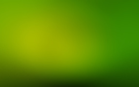 Зеленый фон