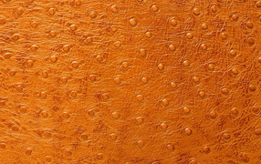 Кожа особой выделки