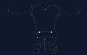 Дизайн джинсов Levi`s