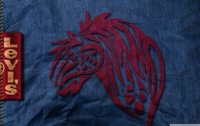 Известный бренд Levi`s