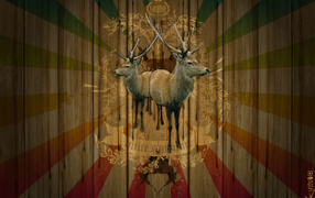 Объединение потребителей