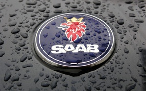 	   Wet logo