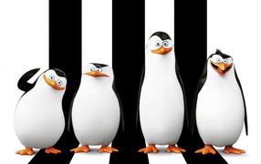 Маскировка пингвинов из Мадагаскара