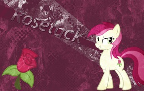 	  Little pony with a rose