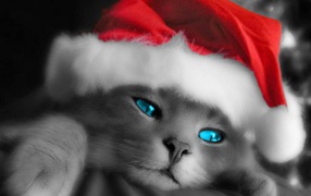 Рождественский кот