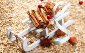 Корица на санках