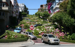 Архитектура Сан Франциско