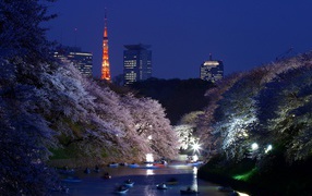 Вечерняя прогулка на лодке