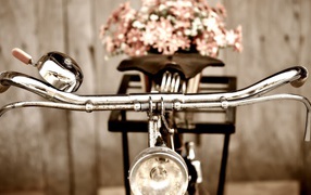 Bелосипед с цветами