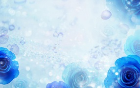 Синие розы на голубом фоне