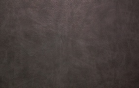 Kоричневая кожа