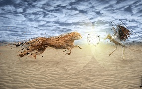 Борьба геппарда