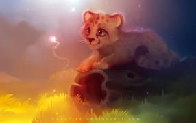 Детеныш гепарда