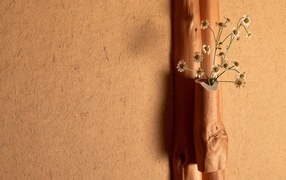 Ромашки в деревянной вазе