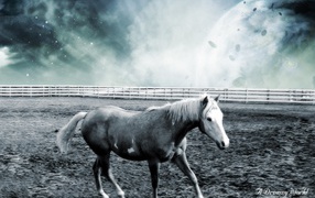 Лошадь в фантастическом мире