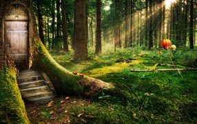 Заколдованный лес