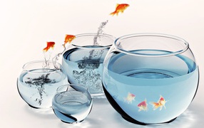 Рыбы и аквариумы