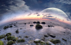 Рыбий пляж в выдуманном мире