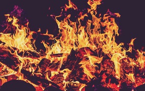 Пламя костра