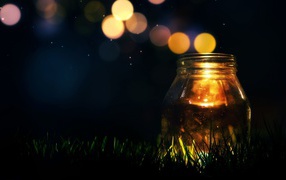 Стеклянная банка на траве ночью