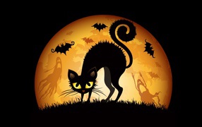 Хеллоуинский кот