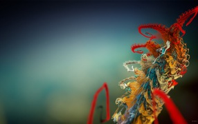 Микроскопическое растение