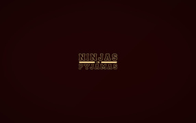 Ниндзя в пижамах