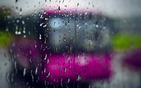 Дождливый день