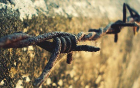 Ржавая колючая проволока