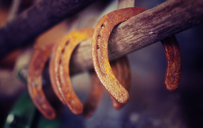 Ржавые подковы